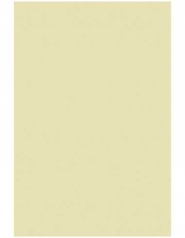 Bastelpapier Ecru DIN B1+ (710 x 1000 mm) 140 g/m² Splendorgel Avorio