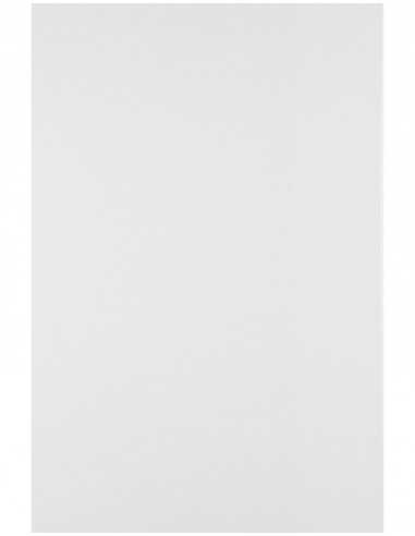 Bastelpapier Weiß DIN B1+ (710 x 1000 mm) 140 g/m² Splendorgel Extra White