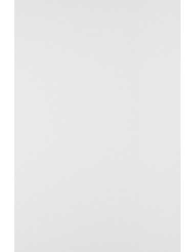 Bastelpapier Weiß DIN B1+ (710 x 1000 mm) 160 g/m² Splendorgel Extra White