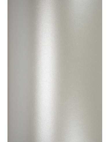 Bastelkarton Perlmutt-Silber DIN B1+ (710 x 1000 mm) 250 g/m² Aster Metallic Silver R100