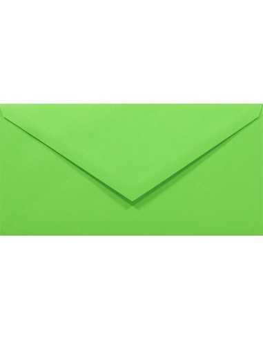 Farbige Briefumschläge Grün DIN lang (110 x 220 mm) 80 g/m² Rainbow Farbe R76 nassklebend