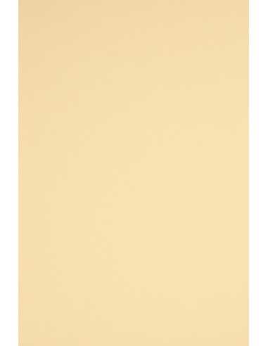 Bastelkarton Creme DIN A4 (210 x 297 mm) 230 g/m² Rainbow Farbe R03 - 20 Stück