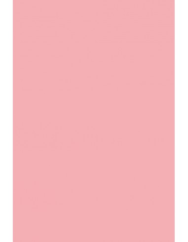 Bastelkarton Rosa DIN A4 (210 x 297 mm) 230 g/m² Rainbow Farbe R55 - 20 Stück