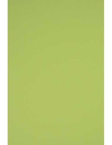 Bastelkarton Hellgrün DIN A4 (210 x 297 mm) 230 g/m² Rainbow Farbe R74 - 20 Stück