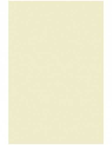 Bastelpapier Ecru DIN A4 (210 x 297 mm) 120 g/m² Olin Cream - 50 Stück