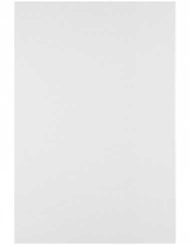 Bastelpapier Weiß DIN A4 (210 x 297 mm) 120 g/m² Olin White - 50 Stück