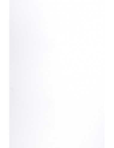 Strukturiertes Bastelpapier Weiß DIN A4 (210 x 297 mm) 135 g/m² Curious Matter Goya White - 10 Stück