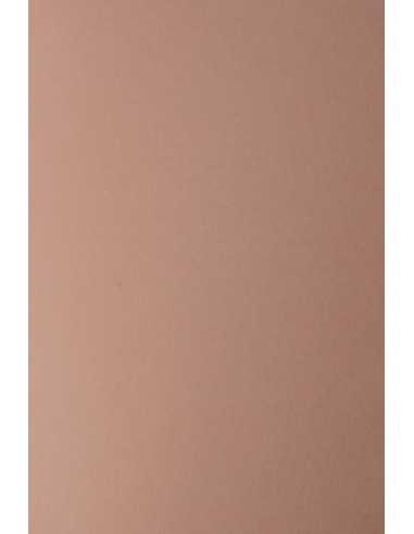Bastelkarton Pink DIN A4 (210 x 297 mm) 300 g/m² Keaykolour Rosebud - 10 Stück
