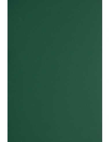 Bastelkarton Dunkelgrün DIN A4 (210 x 297 mm) 330 g/m² Plike Green - 10 Stück