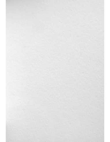 Bastelkarton Weiß DIN A4 (210 x 297 mm) 450 g/m² Wild White - 10 Stück