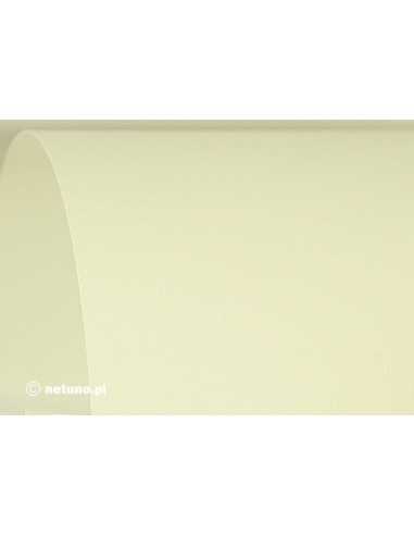 Strukturierter Bastelkarton Ecru (Sieb) DIN A4 (210 x 297 mm) 250 g/m² Aster Laid - 100 Stück