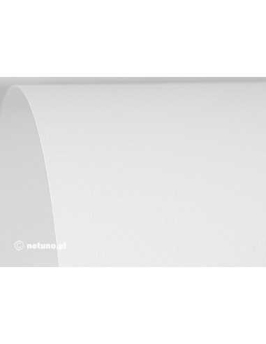 Strukturierter Bastelkarton Weiß (Sieb) DIN A4 (210 x 297 mm) 250 g/m² Aster Laid - 100 Stück