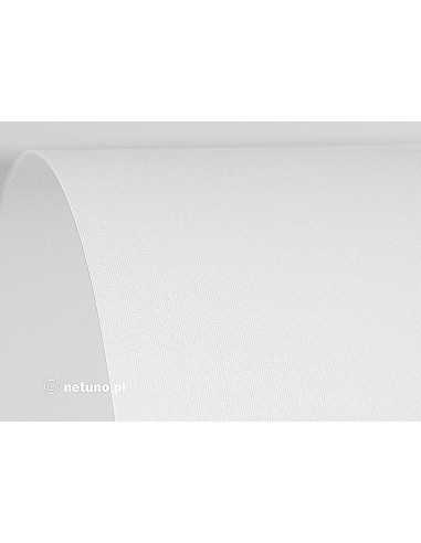 Strukturierter Bastelkarton Weiß (Leinen) DIN A4 (210 x 297 mm) 250 g/m² Aster Laid - 100 Stück