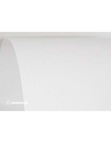 Strukturierter Bastelkarton Weiß (Rippen) DIN A4 (210 x 297 mm) 250 g/m² Aster Laid - 100 Stück