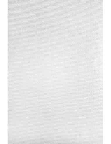 Strukturierter Bastelkarton Weiß DIN A4 (210 x 297 mm) 120 g/m² Aster Laid White - 50 Stück