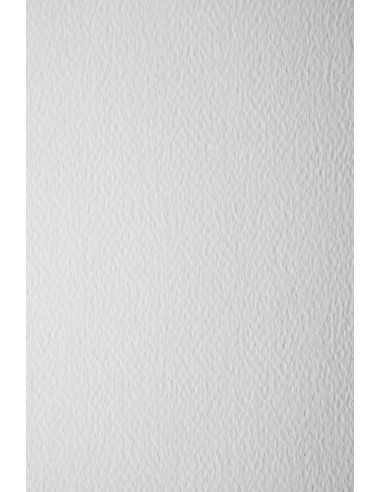 Strukturierter Bastelkarton Weiß DIN A4 (210 x 297 mm) 220 g/m2 Prisma Bianco - 10 Stück