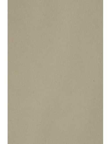 Bastelkarton Grau DIN A4 (210 x 297 mm) 250 g/m2 Burano Pietra - 20 Stück