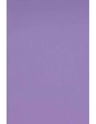 Bastelkarton Violett DIN A4 (210 x 297 mm) 250 g/m2 Burano Violet - 20 Stück