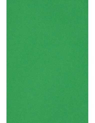 Bastelkarton Grün DIN A4 (210 x 297 mm) 250 g/m2 Burano Verde Bandiera - 20 Stück