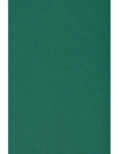 Bastelkarton Dunkelgrün DIN A4 (210 x 297 mm) 250 g/m2 Burano English Green - 20 Stück