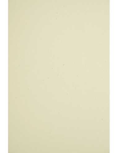 Ökologisches Bastelpapier Ecru DIN A4 (210 x 297 mm) 110 g/m² Woodstock Betulla - 10 Stück