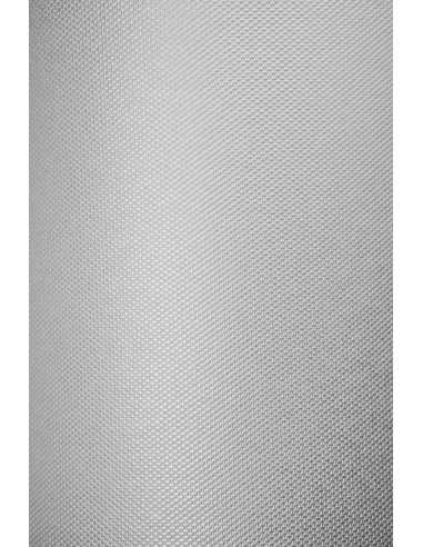 Bastelpapier Perlmutt-Weiß DIN A4 (210 x 297 mm) 115 g/m² Constellation Jade Aida - 20 Stück