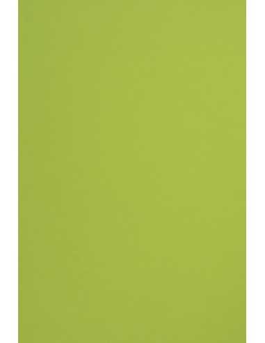 Bastelpapier Hellgrün DIN A4 (210 x 297 mm) 115 g/m² Sirio Color Lime - 50 Stück