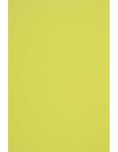 Ökologisches Bastelpapier Pistaziengrün DIN A4 (210 x 297 mm) 140 g/m² Woodstock Pistacchio - 10 Stück