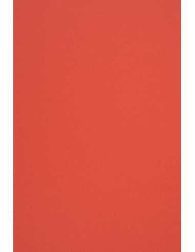 Ökologisches Bastelpapier Rot DIN A4 (210 x 297 mm) 140 g/m² Woodstock Rosso - 10 Stück