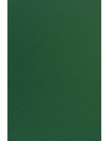 Bastelpapier Dunkelgrün DIN A4 (210 x 297 mm) 170 g/m² Sirio Color Foglia - 20 Stück