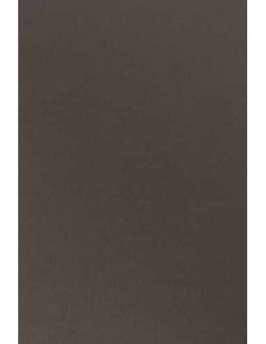 Bastelpapier Braun DIN A4 (210 x 297 mm) 170 g/m² Sirio Color Caffe - 20 Stück