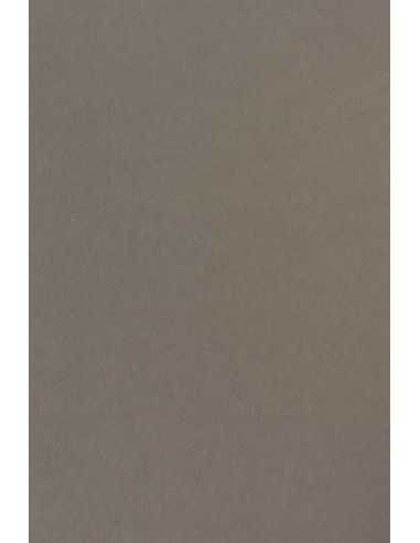 Bastelpapier Dunkelgrau DIN A4 (210 x 297 mm) 170 g/m² Sirio Color Pietra - 20 Stück