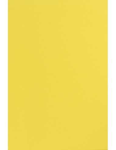 Bastelpapier Gelb DIN A4 (210 x 297 mm) 170 g/m² Sirio Color Limone - 20 Stück