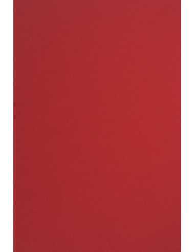 Bastelpapier Rot DIN A4 (210 x 297 mm) 170 g/m² Sirio Color Lampone - 20 Stück
