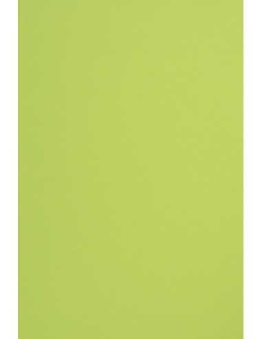 Bastelkarton Hellgrün DIN A4 (210 x 297 mm) 210 g/m² Sirio Color Lime - 25 Stück