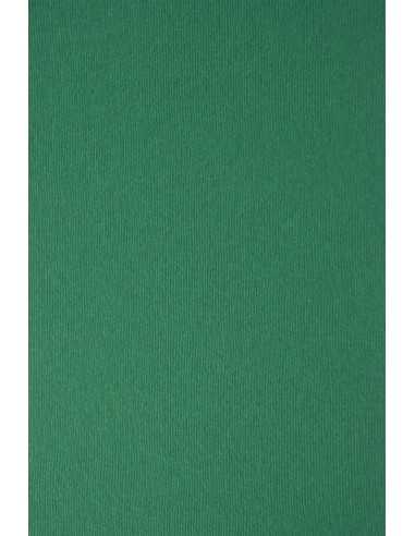 Strukturierter Bastelkarton Grün DIN A4 (210 x 297 mm) 215 g/m² Nettuno Verde Foresta - 10 Stück