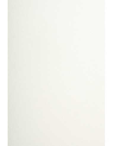 Bastelkarton Elfenbein DIN A4 (210 x 297 mm) 250 g/m² Arena Smooth Ivory - 20 Stück