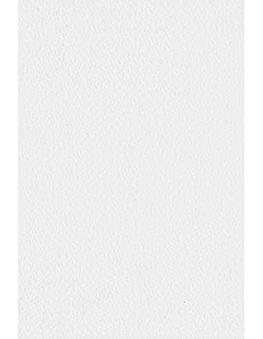 Strukturierter Bastelkarton Weiß DIN A4 (210 x 297 mm) 250 g/m² Tintoretto Gesso - 10 Stück