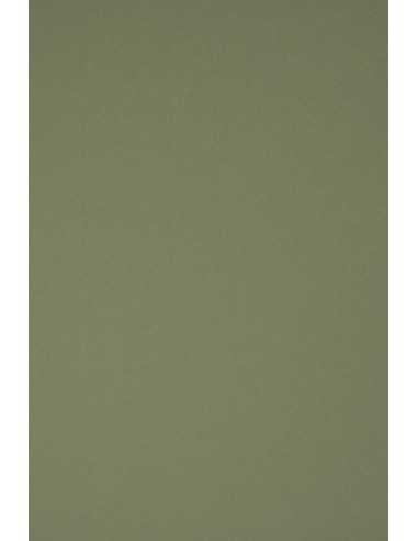 Ökologischer Bastelkarton Oliv DIN A4 (210 x 297 mm) 360 g/m² Materica Verdigris - 10 Stück