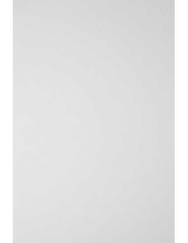 Bastelkarton Weiß DIN A4 (210 x 297 mm) 246 g/m² Elfenbens Glazed White - 20 Stück