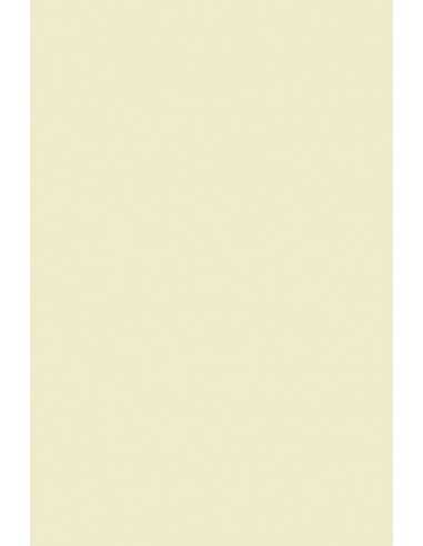 Bastelpapier Ecru DIN A5 (148 x 210 mm) 120 g/m² Olin Cream - 50 Stück