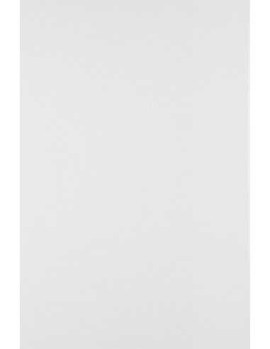 Bastelkarton Weiß DIN A5 (148 x 210 mm) 250 g/m² Olin White - 10 Stück