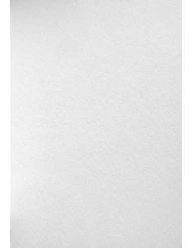 Bastelkarton Weiß DIN A5 (148 x 210 mm) 450 g/m² Wild White - 10 Stück