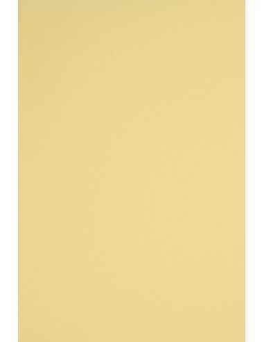 Bastelkarton Hellgelb DIN B1 (700 x 1000 mm) 230 g/m² Rainbow Farbe R12