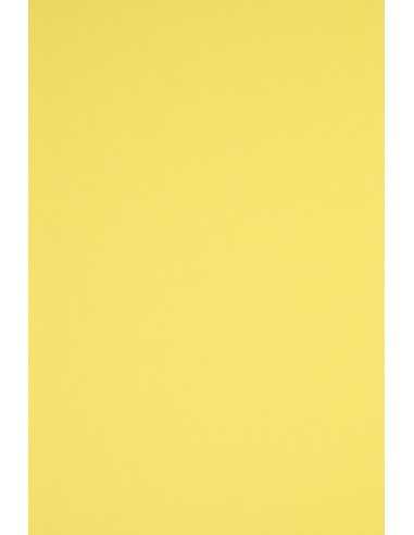 Bastelkarton Gelb DIN B1 (700 x 1000 mm) 230 g/m² Rainbow Farbe R16