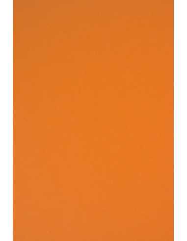 Bastelkarton Orange DIN B1 (700 x 1000 mm) 230 g/m² Rainbow Farbe R24