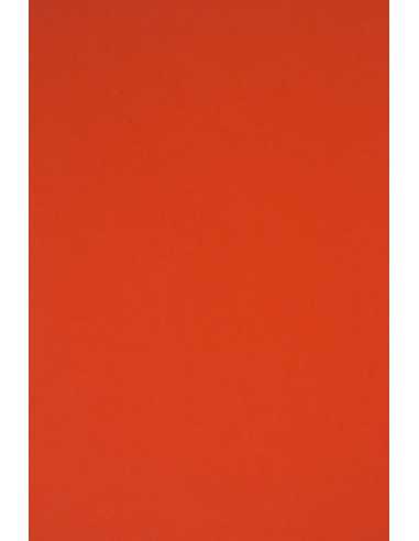 Bastelkarton Rot DIN B1 (700 x 1000 mm) 230 g/m² Rainbow Farbe R28