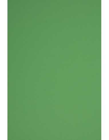Bastelkarton Dunkelgrün DIN B1 (700 x 1000 mm) 230 g/m² Rainbow Farbe R78