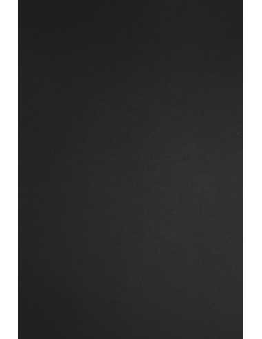 Bastelpapier Schwarz DIN B1+ (720 x 1020 mm) 140 g/m² Plike Black