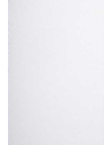 Bastelkarton Weiß DIN B1+ (720 x 1020 mm) 350 g/m² Arena Smooth Extra White